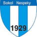 TJ Sokol Nespeky
