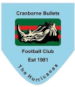 Cranborne Bullets FC