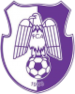 FC Arges Pitesti 2