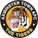 Axminster Town AFC